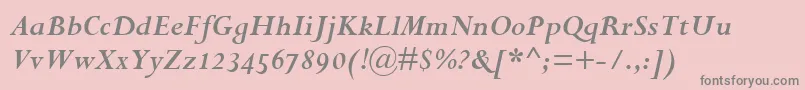 PerpetuaBoldItalicOsf Font – Gray Fonts on Pink Background