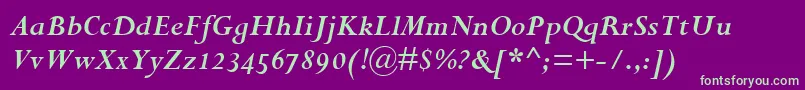 PerpetuaBoldItalicOsf Font – Green Fonts on Purple Background