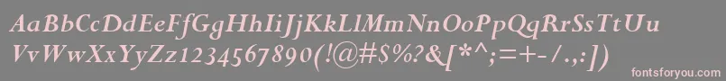 PerpetuaBoldItalicOsf Font – Pink Fonts on Gray Background
