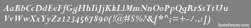 PerpetuaBoldItalicOsf Font – White Fonts on Gray Background