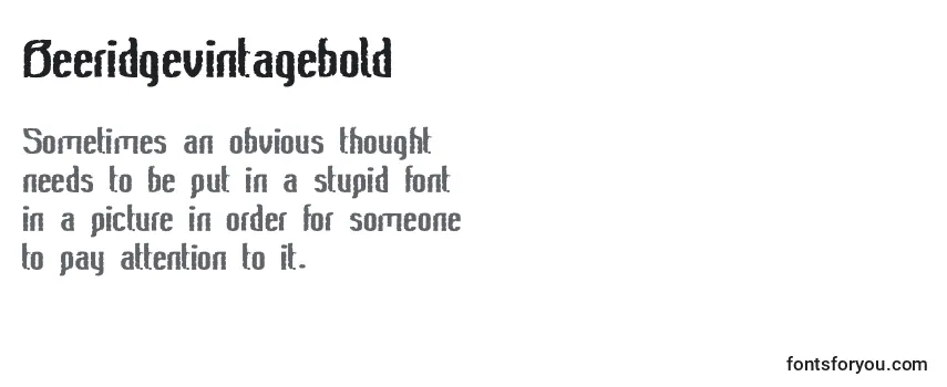 Review of the Beeridgevintagebold Font