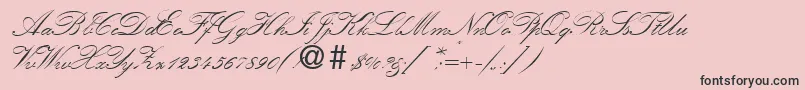 KremlinscriptoneRegularDb Font – Black Fonts on Pink Background