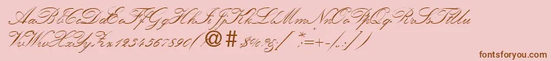 KremlinscriptoneRegularDb Font – Brown Fonts on Pink Background