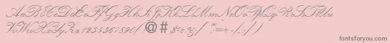 KremlinscriptoneRegularDb-Schriftart – Graue Schriften auf rosa Hintergrund