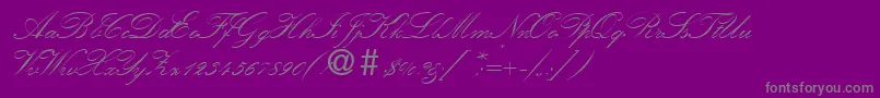 KremlinscriptoneRegularDb-Schriftart – Graue Schriften auf violettem Hintergrund