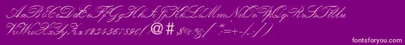 KremlinscriptoneRegularDb Font – Pink Fonts on Purple Background