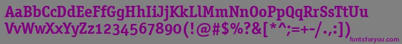 OfficinaSerifOsItcTtBold Font – Purple Fonts on Gray Background
