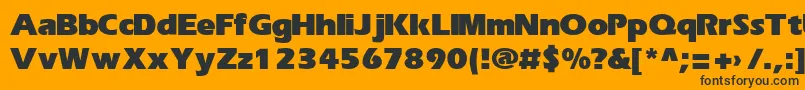 ErikaBold Font – Black Fonts on Orange Background