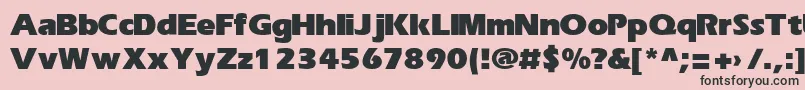 ErikaBold Font – Black Fonts on Pink Background