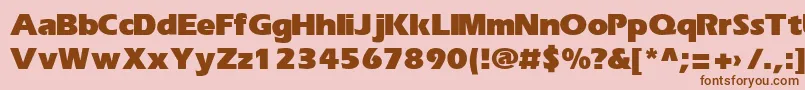 ErikaBold Font – Brown Fonts on Pink Background
