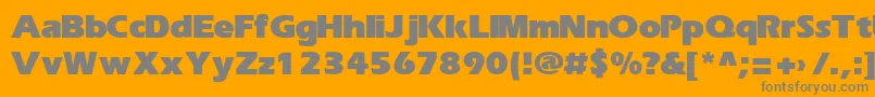 ErikaBold Font – Gray Fonts on Orange Background