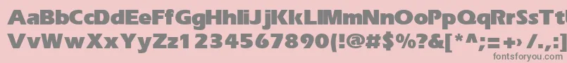 ErikaBold Font – Gray Fonts on Pink Background