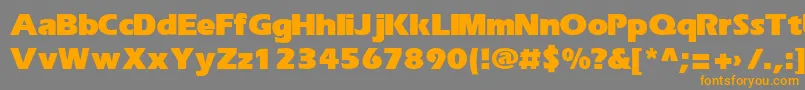 ErikaBold Font – Orange Fonts on Gray Background