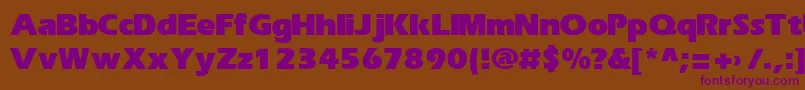 ErikaBold Font – Purple Fonts on Brown Background