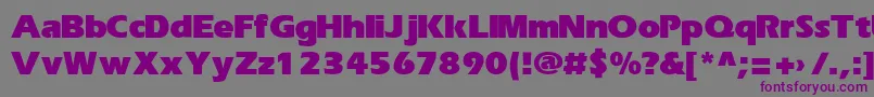 ErikaBold Font – Purple Fonts on Gray Background