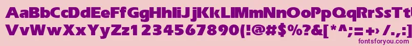 ErikaBold Font – Purple Fonts on Pink Background