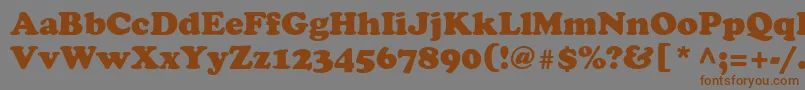 AgCooper Font – Brown Fonts on Gray Background