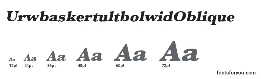 Размеры шрифта UrwbaskertultbolwidOblique