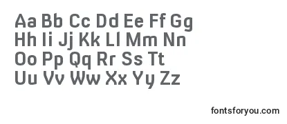 Review of the MilibusrgBold Font