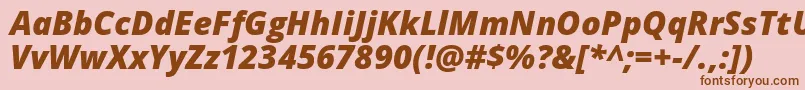 Opensans Extrabolditalic Font – Brown Fonts on Pink Background