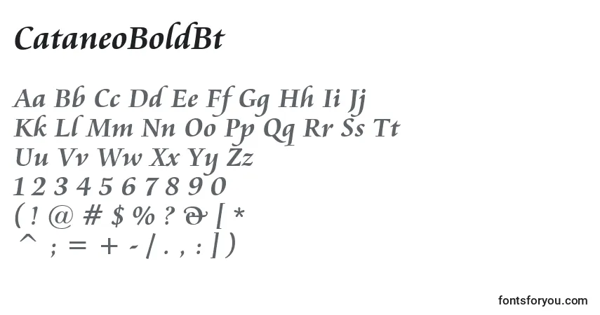 Шрифт CataneoBoldBt – алфавит, цифры, специальные символы