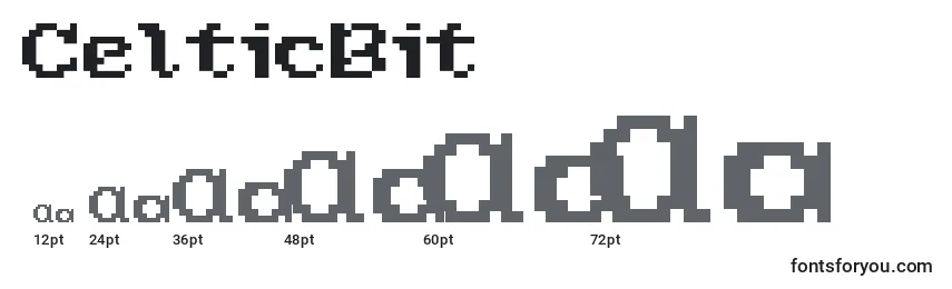 Размеры шрифта CelticBit