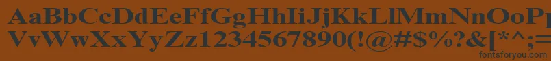 TimesNrCyrMt130b Font – Black Fonts on Brown Background