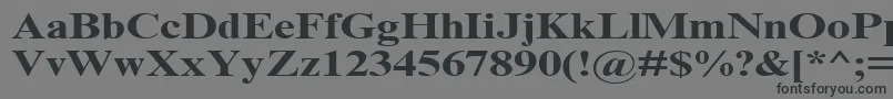 TimesNrCyrMt130b Font – Black Fonts on Gray Background