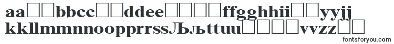 TimesNrCyrMt130b Font – Lithuanian Fonts