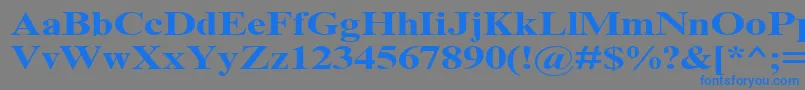 TimesNrCyrMt130b Font – Blue Fonts on Gray Background