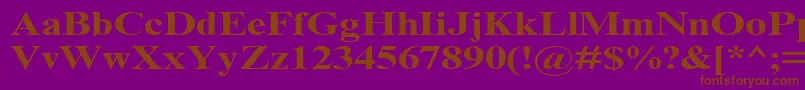 TimesNrCyrMt130b Font – Brown Fonts on Purple Background