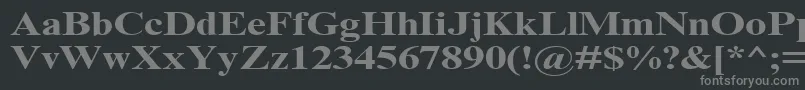 TimesNrCyrMt130b Font – Gray Fonts on Black Background