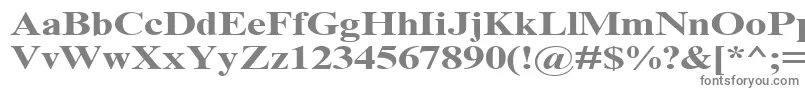 TimesNrCyrMt130b Font – Gray Fonts