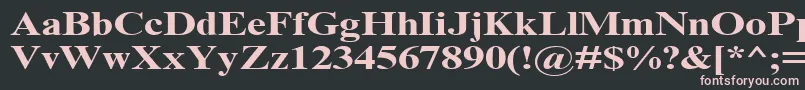TimesNrCyrMt130b Font – Pink Fonts on Black Background