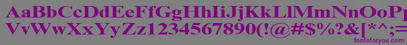 フォントTimesNrCyrMt130b – 紫色のフォント、灰色の背景