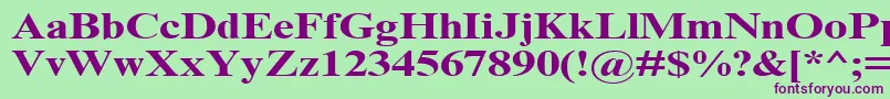 TimesNrCyrMt130b Font – Purple Fonts on Green Background