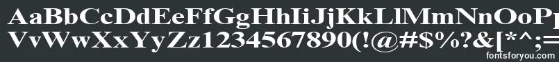 TimesNrCyrMt130b Font – White Fonts on Black Background