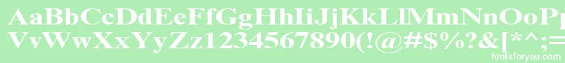 TimesNrCyrMt130b Font – White Fonts on Green Background