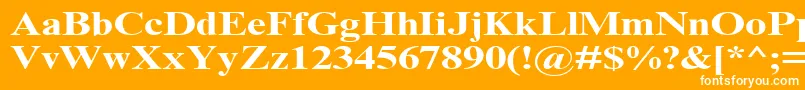 TimesNrCyrMt130b Font – White Fonts on Orange Background