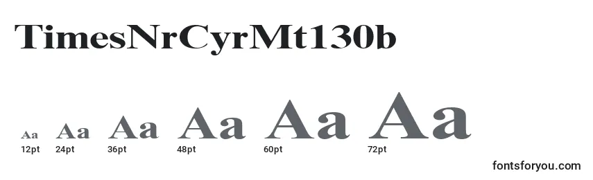 TimesNrCyrMt130b Font Sizes