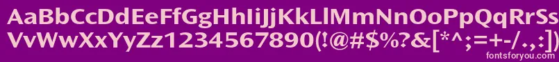 OceansansstdBoldext Font – Pink Fonts on Purple Background