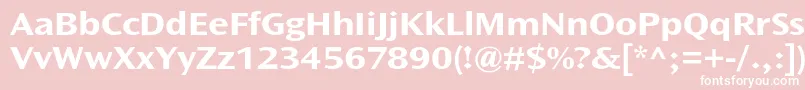 OceansansstdBoldext Font – White Fonts on Pink Background
