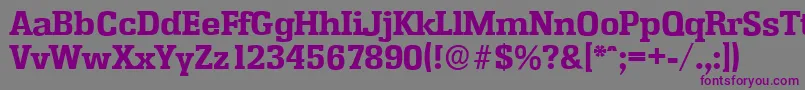 EnschedeserialXboldRegular-fontti – violetit fontit harmaalla taustalla