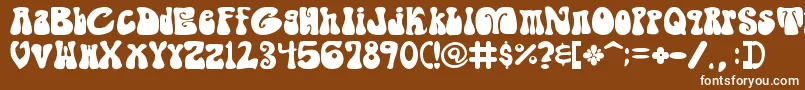 Shagade Font – White Fonts on Brown Background