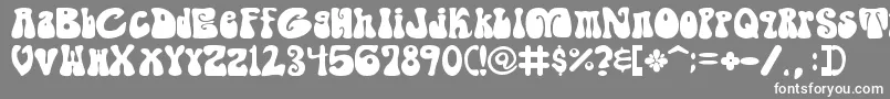 フォントShagade – 灰色の背景に白い文字