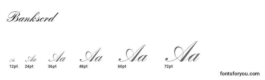 Bankscrd Font Sizes