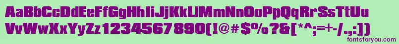 CompressedBlackRegular Font – Purple Fonts on Green Background