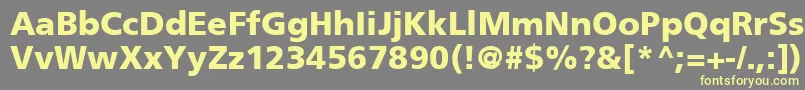 FrutigerCe75Black Font – Yellow Fonts on Gray Background