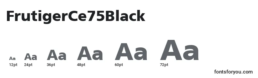 Размеры шрифта FrutigerCe75Black