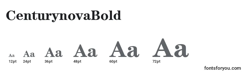 CenturynovaBold Font Sizes